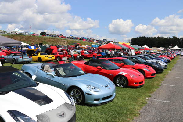 Corvettes at Carlisle