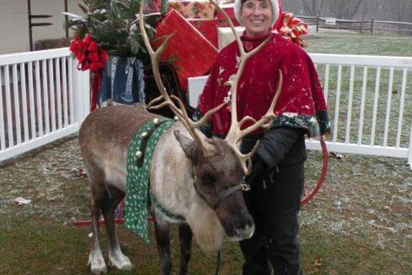 Santa's Reindeer & Mrs. Santa