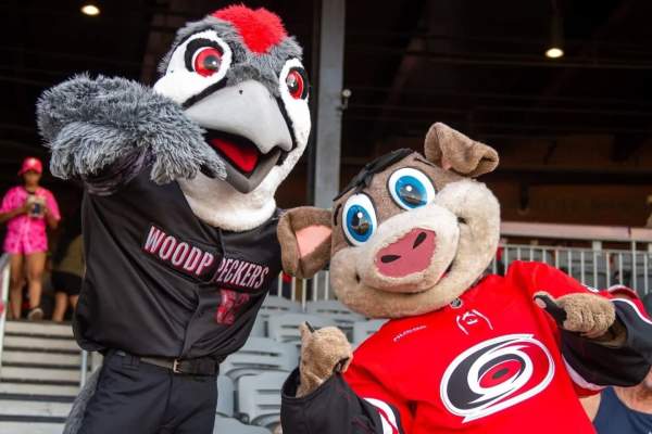 Fayetteville Woodpeckers Baseball: Hockey Night w/ the Hurricanes + Jersey Giveaway