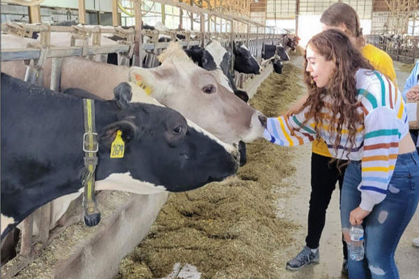 Image of two girls petting cows at Kuehnert Dairy Farm