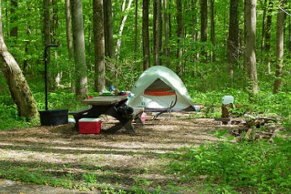 Catoctin Mountain Park Campsites