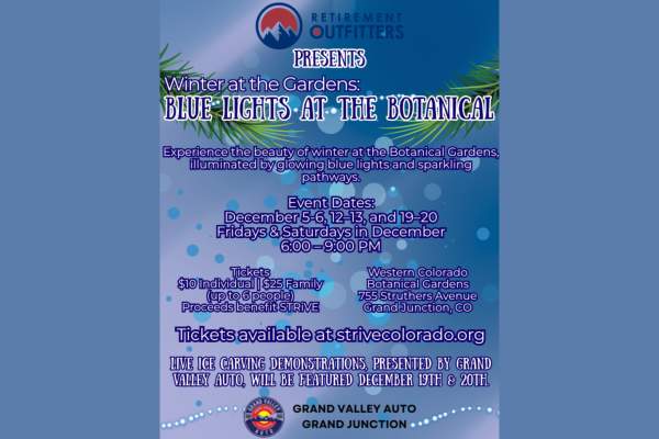 Winter at the Gardens: Blue Lights at the Botanical