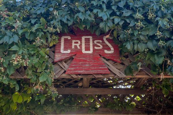 Farmers Market at Cross Orchards