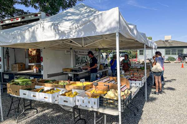 Farmer's Market at Cross Orchards