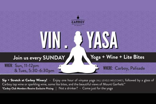 Vin.Yasa Yoga-Sunday mornings