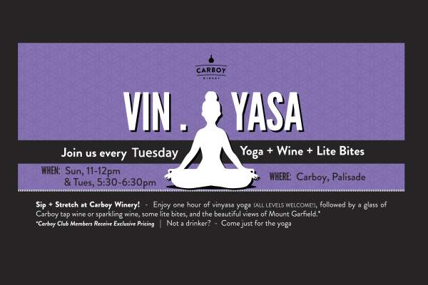 Vin.Yasa Flow-Tuesday afternoons