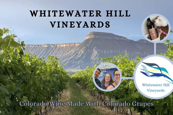 Full Moon Fires @ Whitewater Hill Vineyards