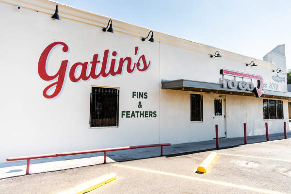 Gatlin's Fins & Feathers