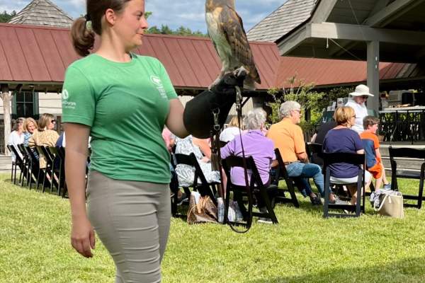 The Village Green's Nature Series