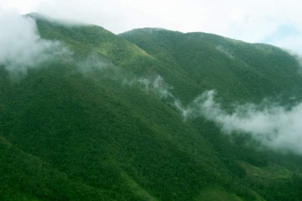 Blue and John Crow Mountains National Park