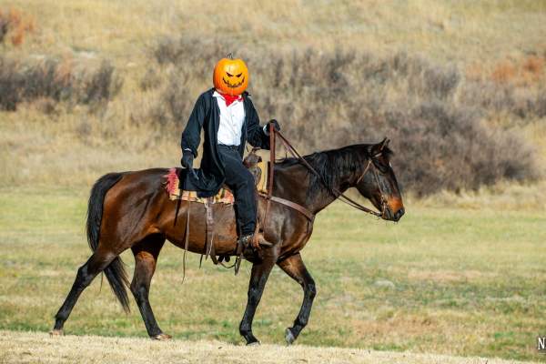Halloween at the Hollow