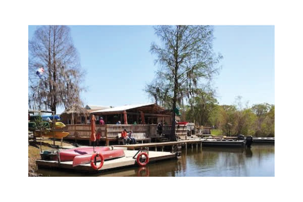 Champagne's Swamp Tours