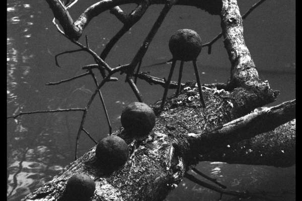 Dark Wave / Light Room