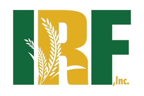 International Rice Festival