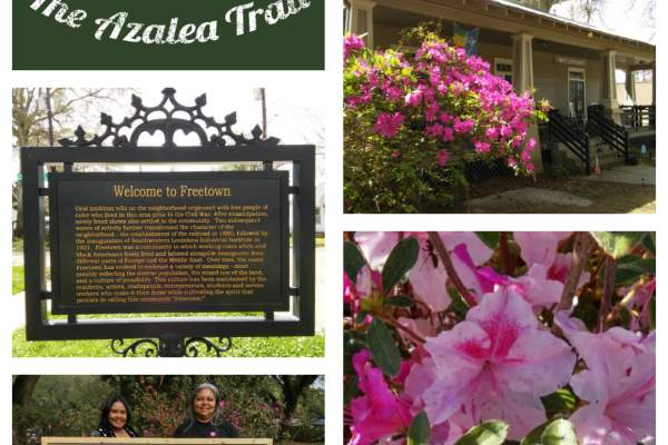 Trolley Tours Lafayette Historic Azalea Trail