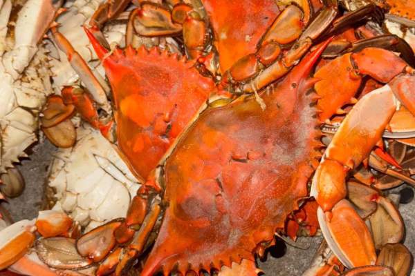 Cajun Claws Seafood Boilers in Breaux Bridge