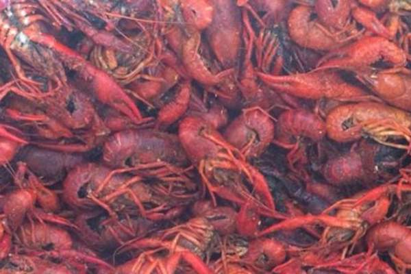 Cajun Claws Seafood Boilers