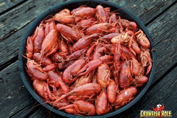 Crawfish Hole