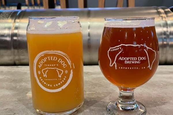 Adopted Dog Brewing