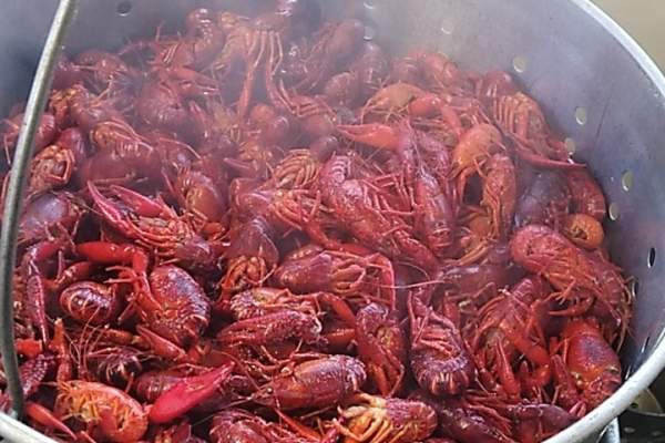 K-B’s Boiling Shack