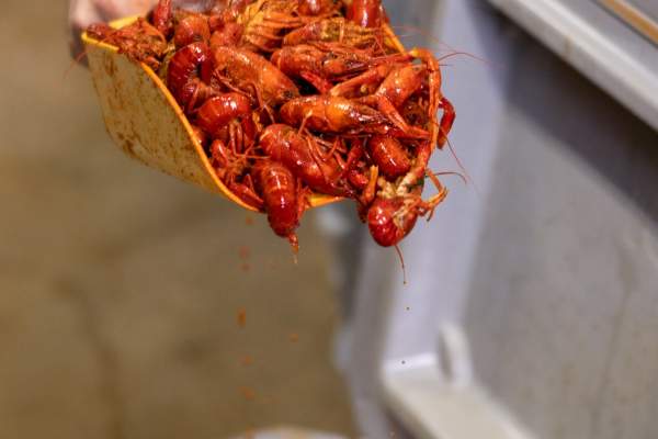 LT's Seafood & Steakhouse