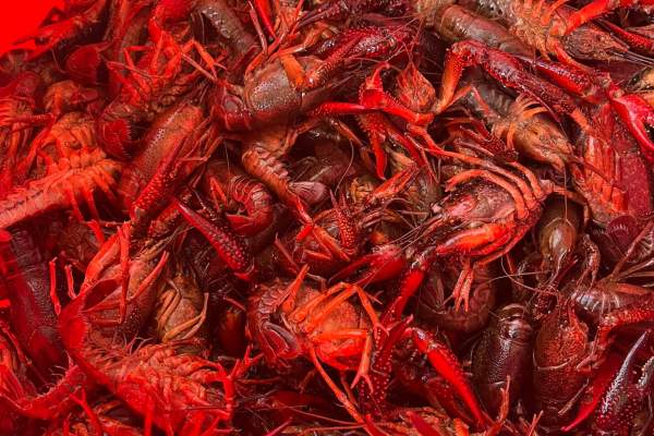 Pitre’s Crawfish Shack
