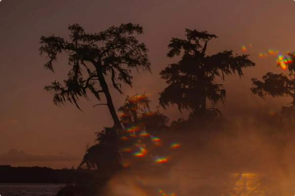 Gulf Streams — Atchafalaya Remixed