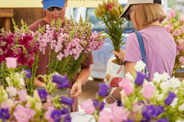 Longmont Farmers Market