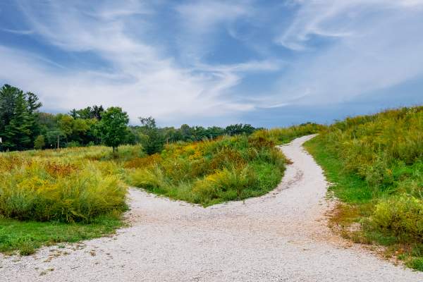 Hartung Park