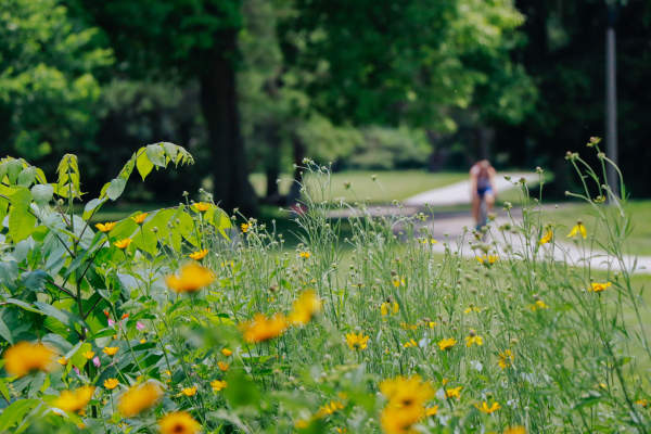 Little Menomonee River Parkway