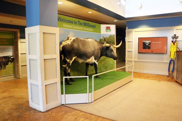 The MOOseum