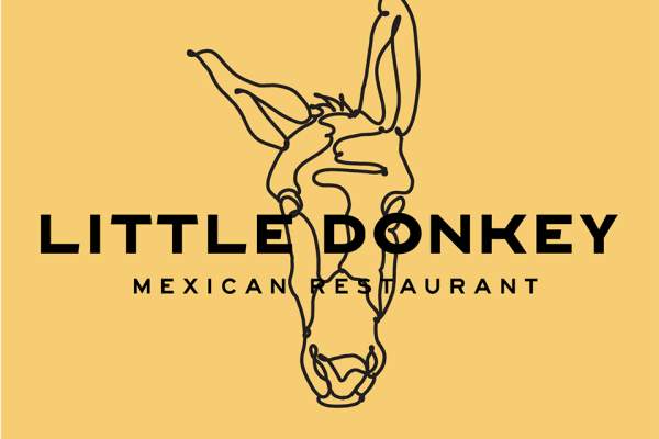 Little Donkey