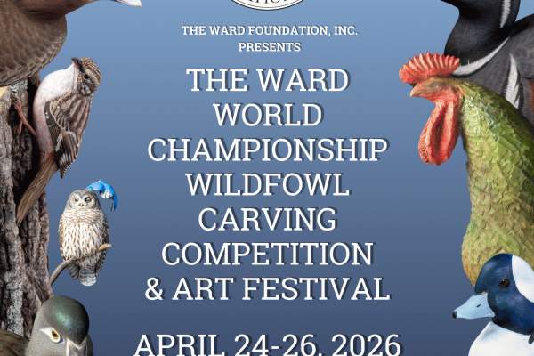 55th Annual Ward World Championship Wildfowl Carving Competition & Art Festival