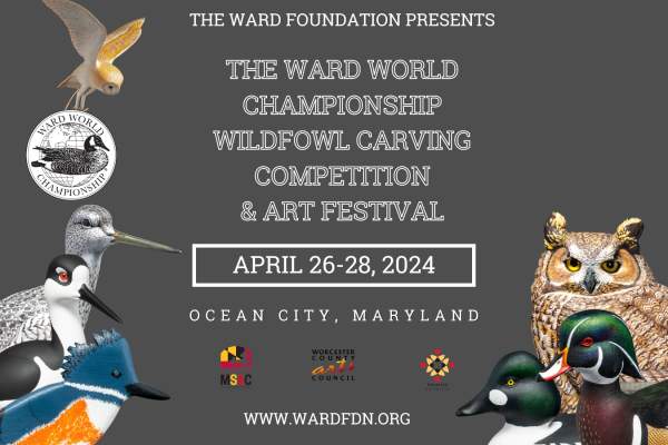 Ward World Championship Wildfowl Carving Competition & Art Festival