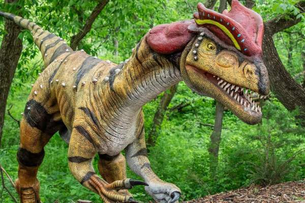 Dinosaurs Unearthed: A Trek Through Time