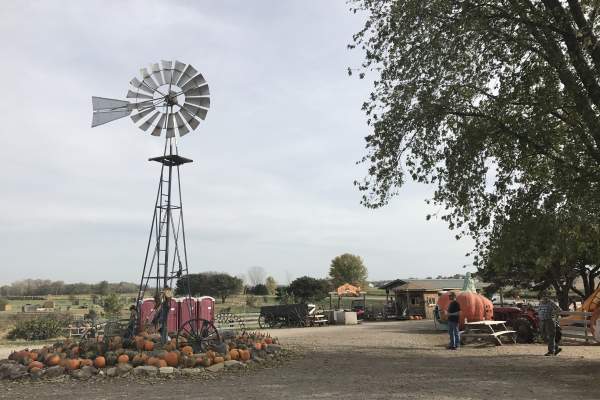 Bellevue Berry & Pumpkin Ranch
