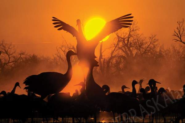 Nebraskaland Celebrating 100 Years Outdoors