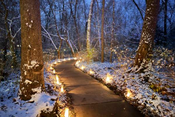 Luminary Walk