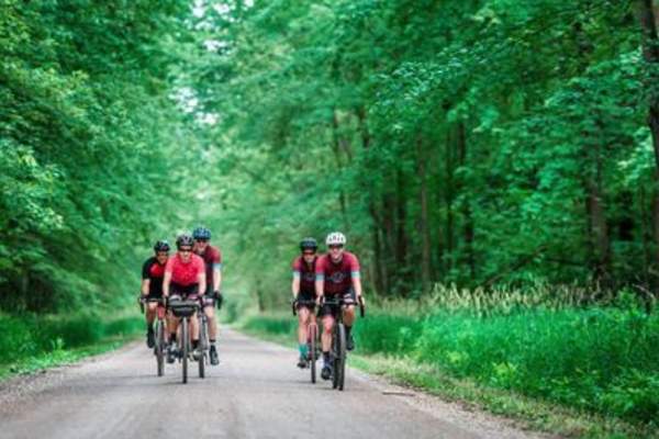 A Full-on 'Bro-mance