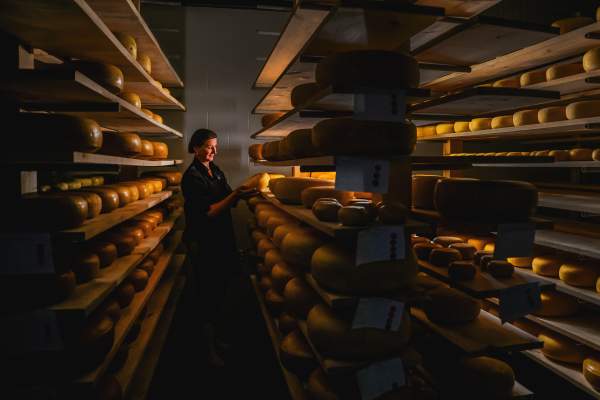 New Galma Dairy & Creamery