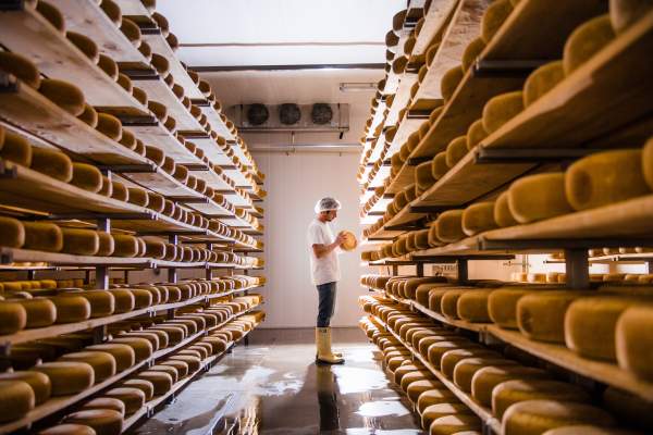 Gunn's Hill Artisan Cheese Ltd.