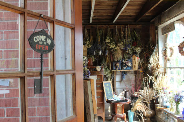 The Garden in Harrington