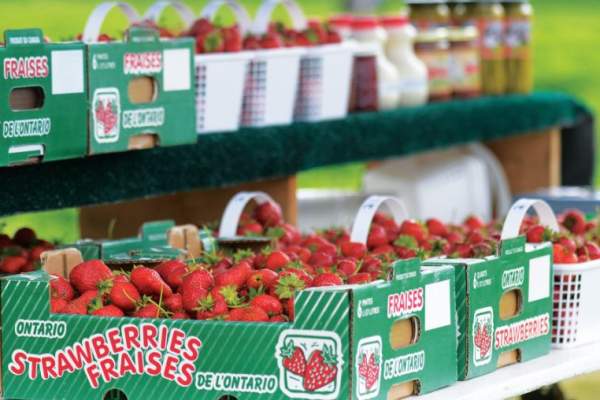 Ingersoll Kiwanis Farmers' Market