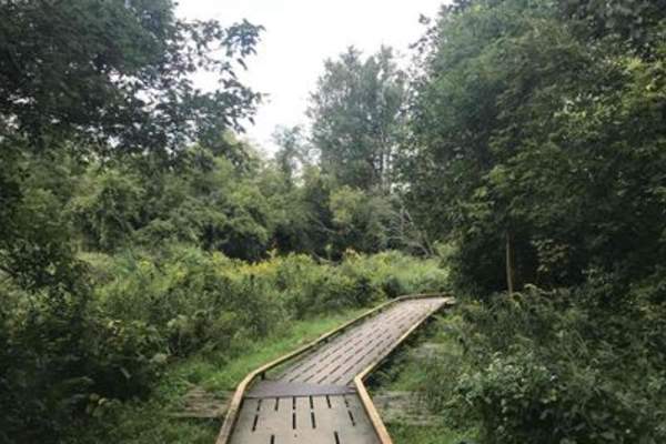 Youth Start (Millenium Trail System)