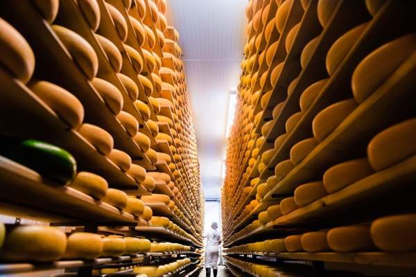 Mountainoak Cheese Ltd.