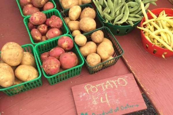 Nith Valley Organics