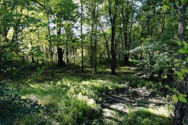 Herbert Milnes Trail