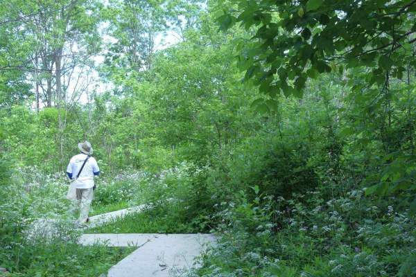 Oxford Thames River Trail
