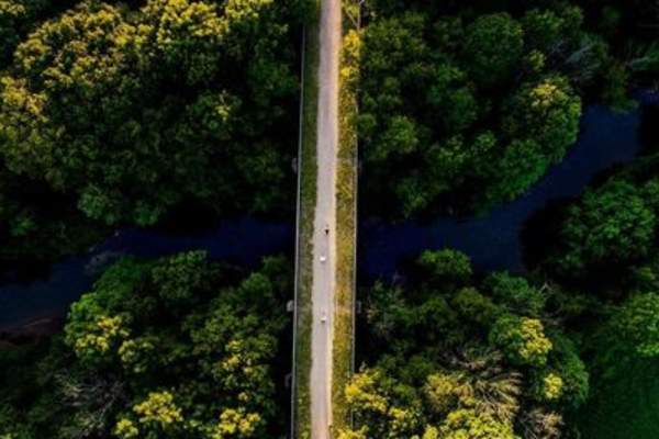 The Reverend's Ramble