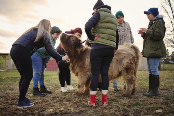 Udderly Ridiculous Farm Life